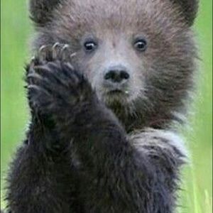 Meet your Posher, Viveca